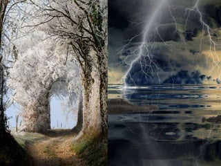 Beautiful pictures