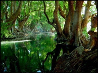 Beautiful pictures