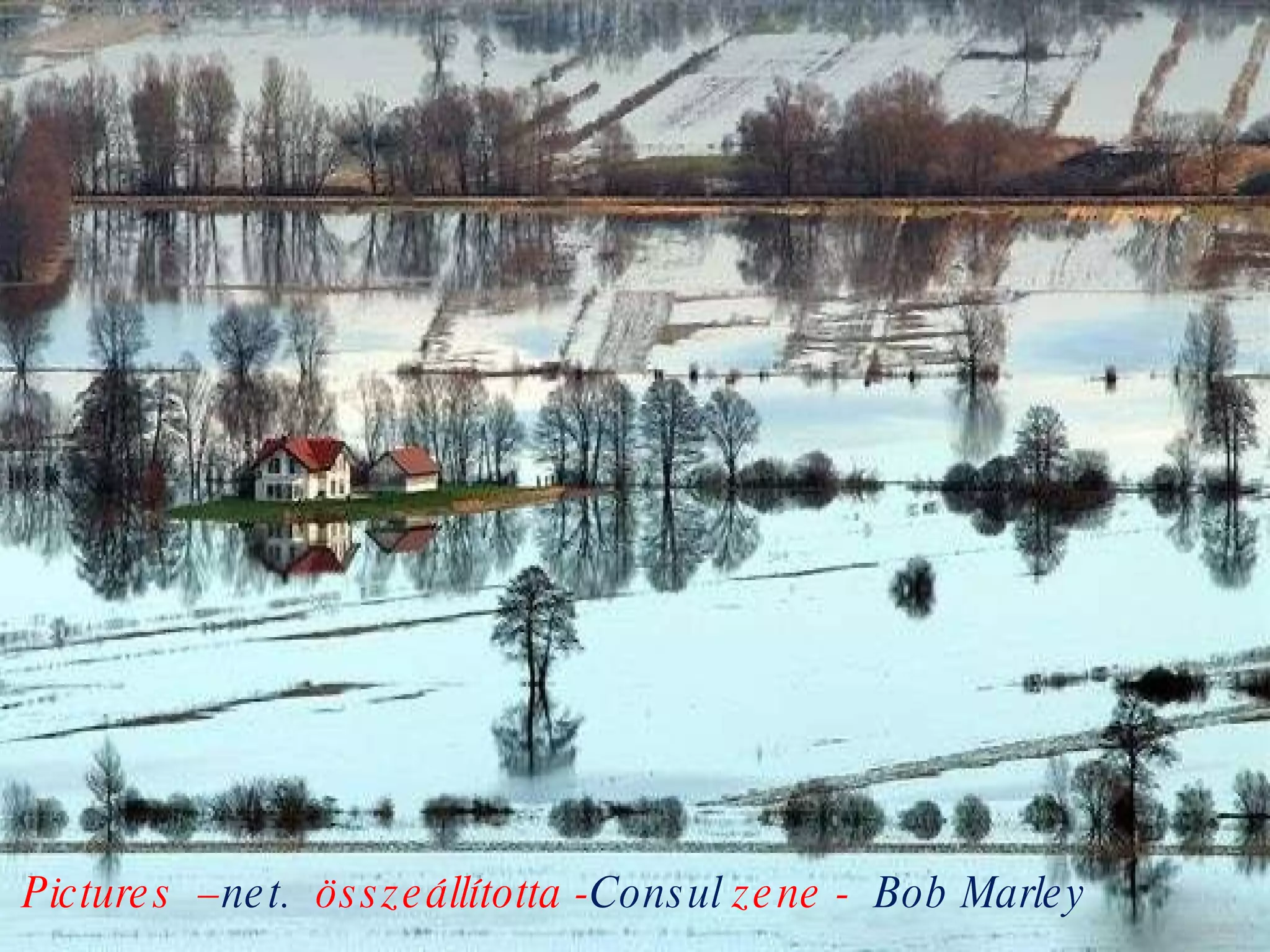 Pictures  – net.   összeállította - Consul  zene -  Bob Marley 