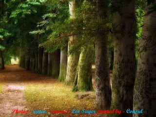 Photos -  www.  – music -  Leo Sayer  created by -  Consul   