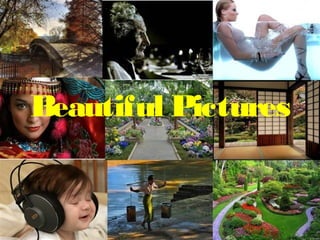 Beautiful Pictures
 