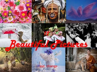 12. Beautiful Pictures aut. change 