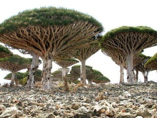 verteilt durch  www.funmail2u.de   