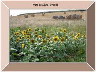 Vale do Loire - França
 