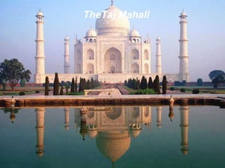 TheTaj Mahall 