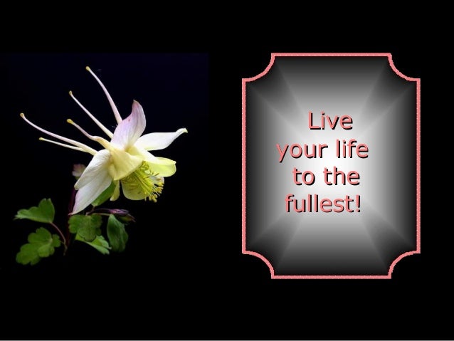 Beautiful Quotes to Life