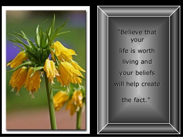 Beautiful Quotes to Life