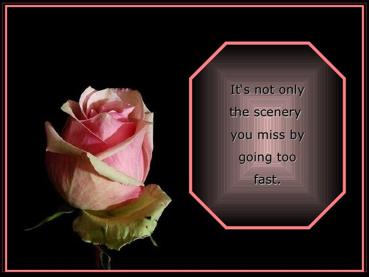 Beautiful Quotes To Live By...