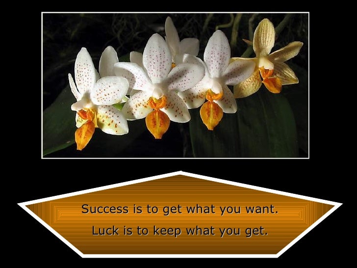 Beautiful Quotes To Live By...