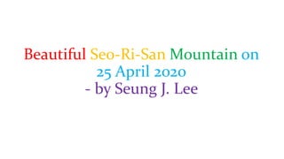Beautiful Seo-Ri-San Mountain on
25 April 2020
- by Seung J. Lee
 