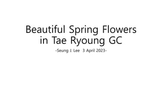 Beautiful Spring Flowers
in Tae Ryoung GC
-Seung J. Lee 3 April 2023-
 