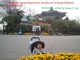 Beautiful Spring Flowers with Tae-Eun Lee at Grand Children’s
Park in Seoul
                               04.19.2012, edited by Seung J. Lee
 
