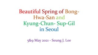 Beautiful Spring of Bong-
Hwa-San and
Kyung-Chun- Sup-Gil
in Seoul
5&9 May 2021 - Seung J. Lee
 