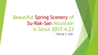 Beautiful Spring Scenery of
Su-Rak-San Mountain
in Seoul 2017.4.23
- Seung J. Lee
 
