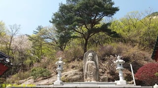 천 년의 미소도 꽃 속에서
 