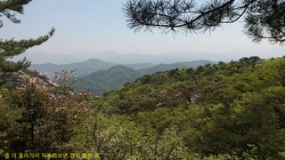 좀 더 올라가서 뒤돌아보면 경치 좋은 곳
 