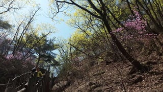 Beautiful Spring Scenery of Su-Lak-San Mountain in Seoul 2017.4.23