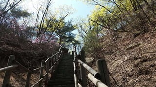 Beautiful Spring Scenery of Su-Lak-San Mountain in Seoul 2017.4.23
