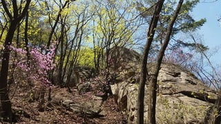 Beautiful Spring Scenery of Su-Lak-San Mountain in Seoul 2017.4.23