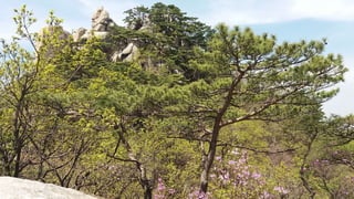 Beautiful Spring Scenery of Su-Lak-San Mountain in Seoul 2017.4.23