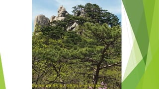 정상 바로 밑에 까지 왔다 태극기가 보이는 지점에서
 