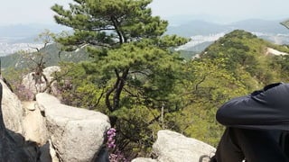 Beautiful Spring Scenery of Su-Lak-San Mountain in Seoul 2017.4.23