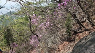Beautiful Spring Scenery of Su-Lak-San Mountain in Seoul 2017.4.23