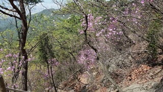Beautiful Spring Scenery of Su-Lak-San Mountain in Seoul 2017.4.23