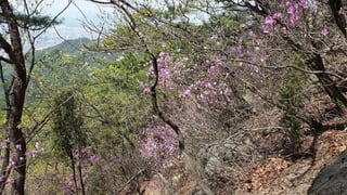 Beautiful Spring Scenery of Su-Lak-San Mountain in Seoul 2017.4.23