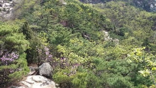 Beautiful Spring Scenery of Su-Lak-San Mountain in Seoul 2017.4.23