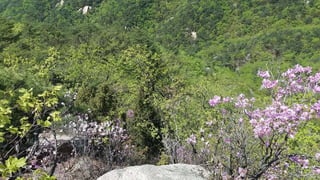 Beautiful Spring Scenery of Su-Lak-San Mountain in Seoul 2017.4.23