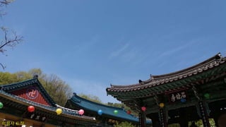 석림사 도착
 