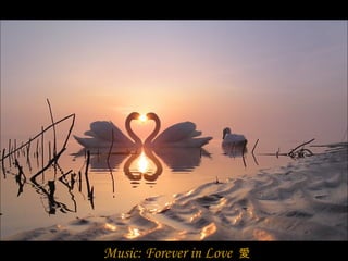 Music: Forever in Love   愛 
