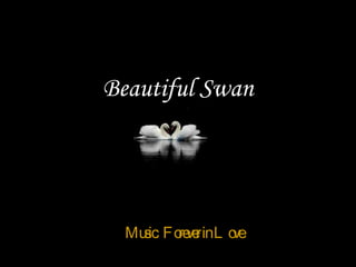 Beautiful Swan 由  tsaidr Music:  Forever in Love 
