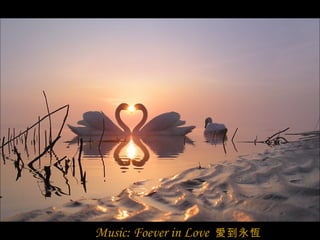 Music: Foever in Love   愛到永恆 