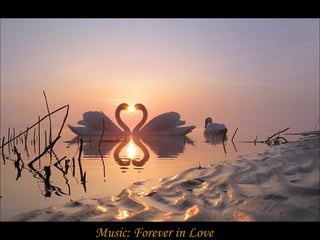 Music: Forever in Love
 