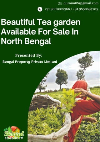 Beautiful Tea garden
Available For Sale In
North Bengal
Presented By:
Bengal Property Private Limited
+91 9007008366 / +91 9830694705
ouraim08@gmail.com
 