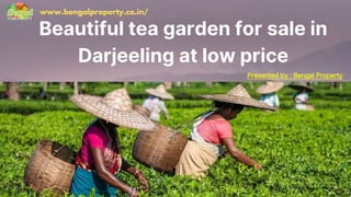 Beautiful tea garden for sale in
Darjeeling at low price
www.bengalproperty.co.in/
Presented by : Bengal Property
 
