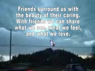Friends surround us with the beauty of their caring. With friends we can share what we see, what we feel, and what we love.  