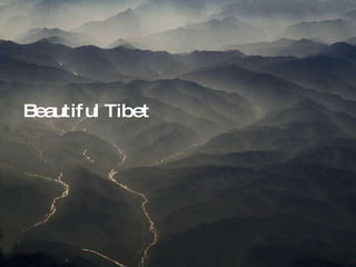 Beautiful Tibet 