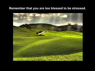 Remember that you are too blessed to be stressed. 