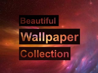 Beautiful High Resolution Wallpaper
Collection
 