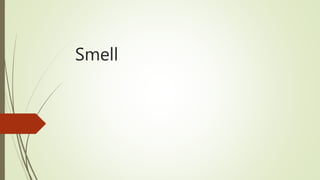 Smell
 