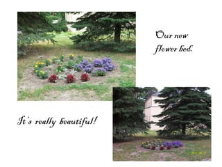 It’s really beautiful! Our new flower bed.