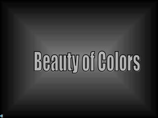 Beauty of Colors 