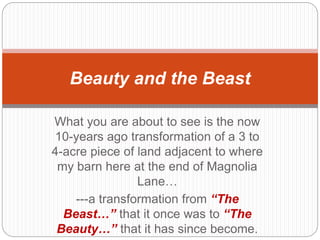 What you are about to see is the now
10-years ago transformation of a 3 to
4-acre piece of land adjacent to where
my barn here at the end of Magnolia
Lane…
---a transformation from “The
Beast…” that it once was to “The
Beauty…” that it has since become.
Beauty and the Beast
 