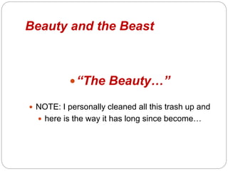 Beauty and the Beast
?The Beauty
? NOTE: I personally cleaned all this trash up and
? here is the way it has long since become
 