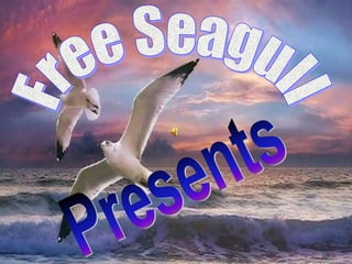 Free Seagull Presents 