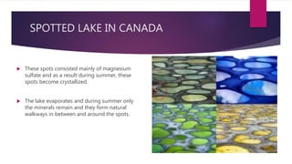  These spots consisted mainly of magnesium
sulfate and as a result during summer, these
spots become crystallized.
 The lake evaporates and during summer only
the minerals remain and they form natural
walkways in between and around the spots.
SPOTTED LAKE IN CANADA
 