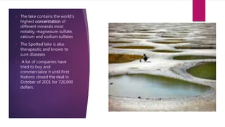 The lake contains the world's
highest concentration of
different minerals most
notably, magnesium sulfate,
calcium and sodium sulfates
 The Spotted lake is also
therapeutic and known to
cure diseases
 A lot of companies have
tried to buy and
commercialize it until First
Nations closed the deal in
October of 2001 for 720,000
dollars.
 